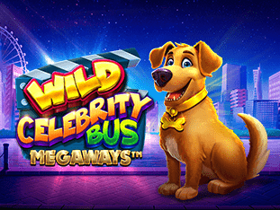Wild Celebrity Bus Megaways game