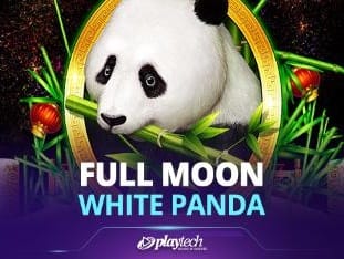 Full Moon_ White Panda™ game